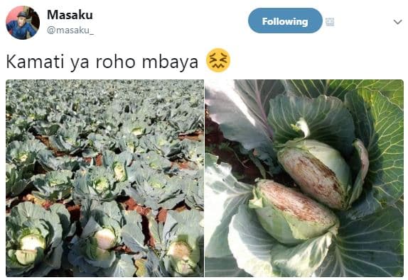 Masaku masaku_ following kamati ya roho mbaya