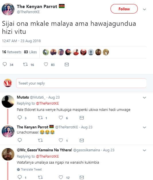The kenyan parrot theparrotke follow sijai ona mkale malaya ama hawajagundua hiz