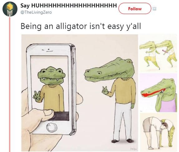 Say huhhhhhhhhhhhhhhhhhh thelivingzero follow being an alligator isn't easy y'al