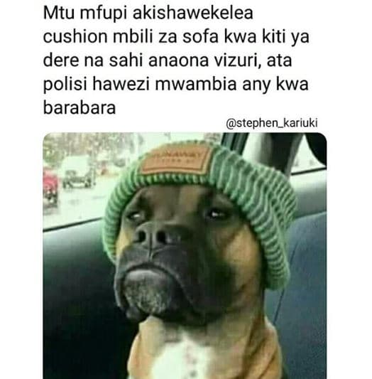 Mtu mfupi akishawekelea cushion mbili za sofa kwa kiti ya dere na sahi anaona vi