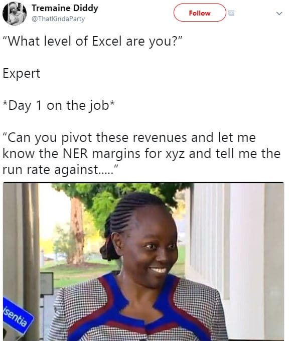 Tremaine diddy thatkindaparty follow 'what level of excel are you? expert day on