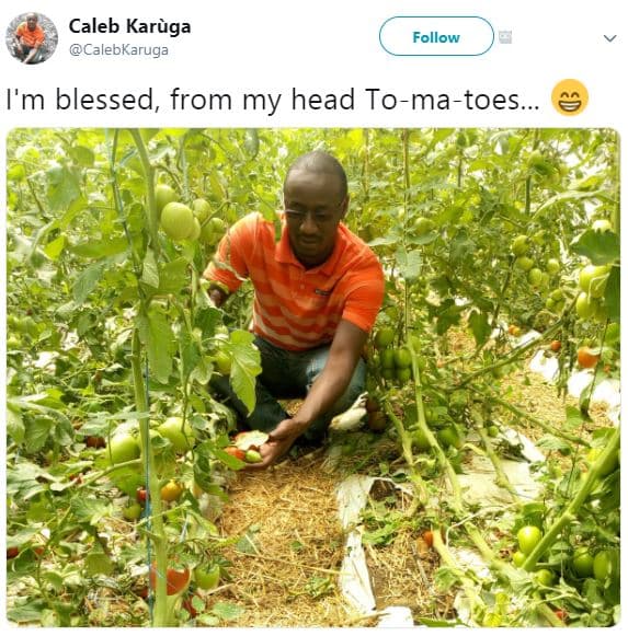 Caleb karàga calebkaruga follow i'm blessed, from my head tomatoes.