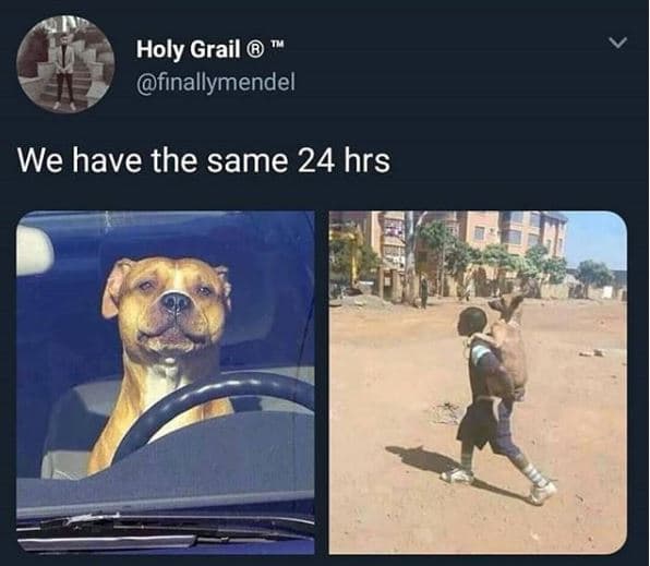 Holy grail finallymendel we have the same 24 hrs