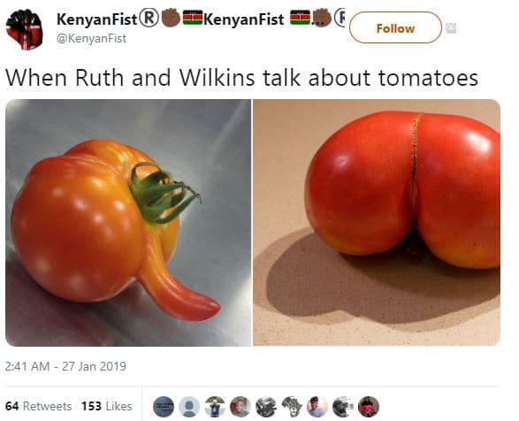 Kenyanfist kenyanfist kenyanfist follow when ruth and wilkins talk about tomatoe