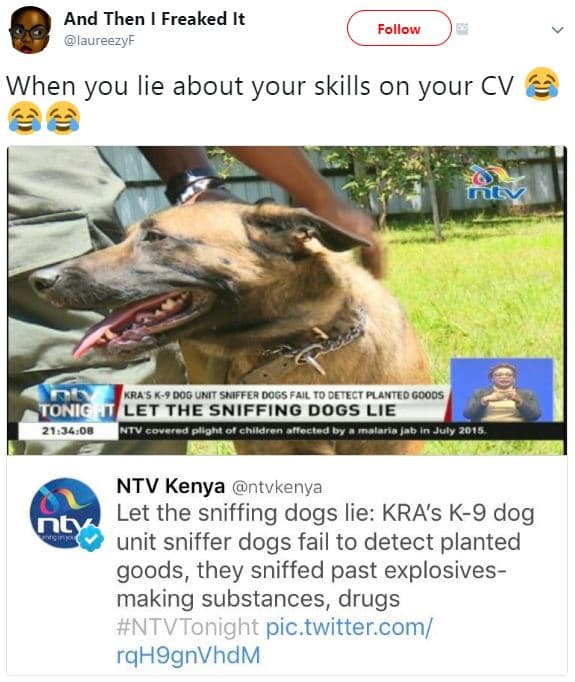 And then freaked it laureezyt follow when you lie about your skills on your cv t