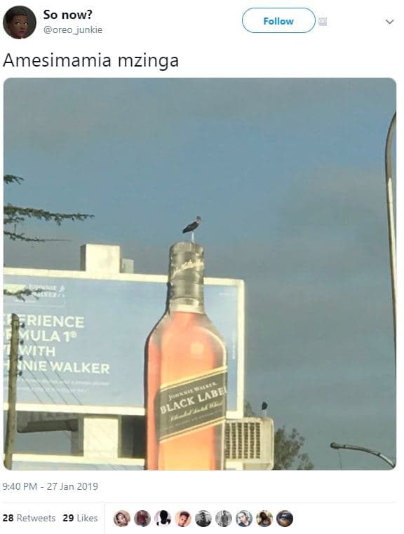 S0 now? oreo_junkie follow amesimamia mzinga rience qulazo with anewalker 9,40 p