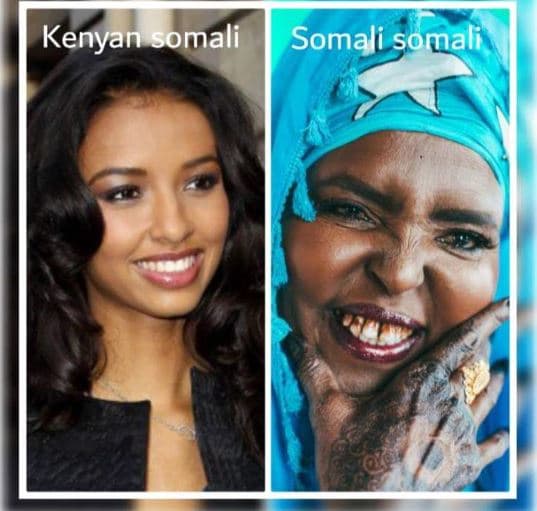 Kenyan somali somali somali