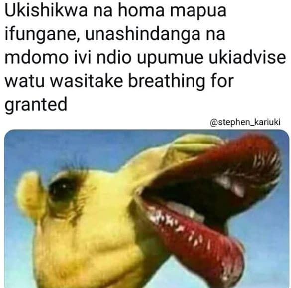 Ukishikwa na homa mapua ifungane unashindanga na mdomo ivi ndio upumue ukiadvise