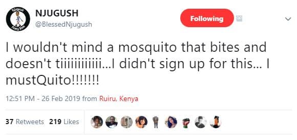 Njugush blessednjugush following wouldn't mind a mosquito that bites and doesn't