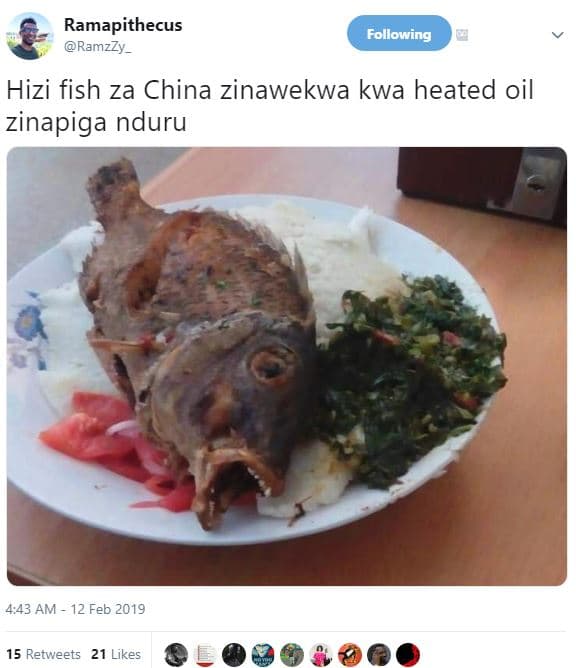Ramapithecus ramzzy _ following hizi fish za china zinawekwa kwa heated oil zina
