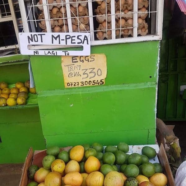 Not mpesa ni lagi u eggs jrn ksr 330
