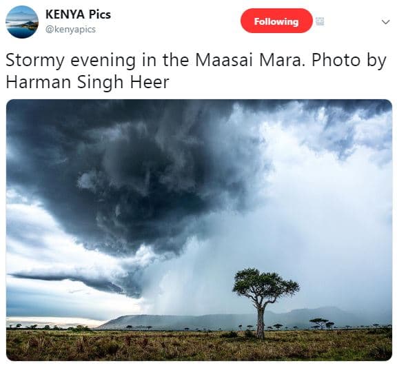 Kenya pics kenyapics following stormy evening in the maasai mara. photo by harma