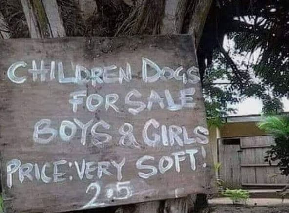 Chilrren docs forsav 60s8 cirls prievery soft' 2 5