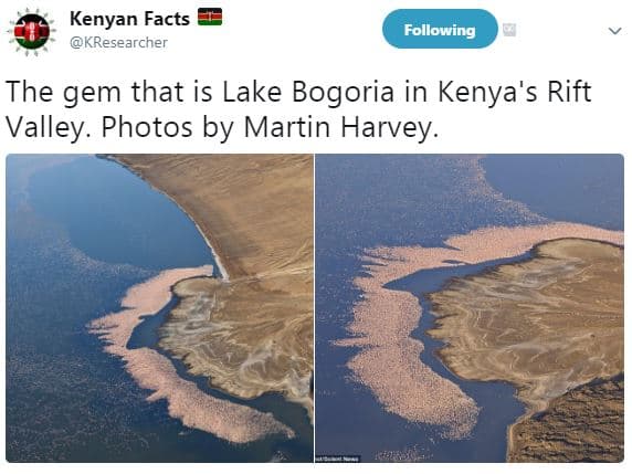 Kenyan facts kresearcher following the gem that is lake bogoria in kenya's rift