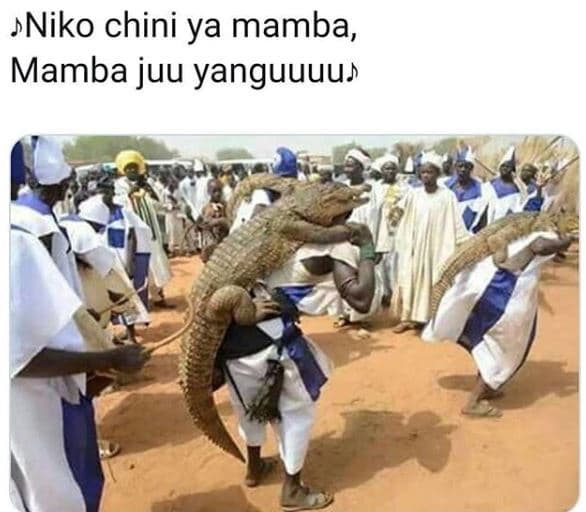 Jniko chini ya mamba mamba juu yanguuuus
