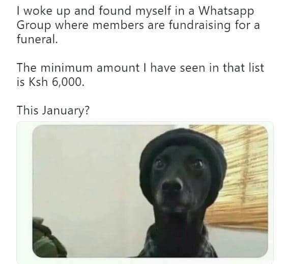 Woke up and found myself in a whatsapp group where members are fundraising for a