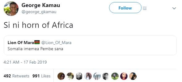 George kamau george_gkamau follow si ni horn of africa lion of mara lion_of_mara