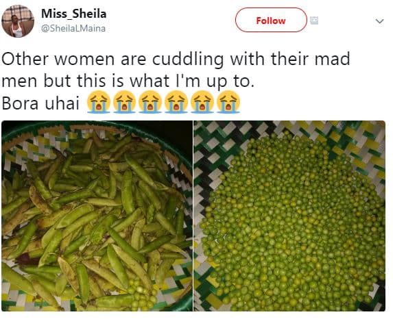 Miss_sheila sheilalmaina follow other women are cuddling with their mad men but