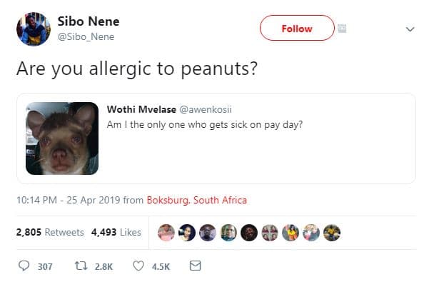 Sibo nene sibo_nene follow are you allergic to peanuts? wothi mvelase awenkosii