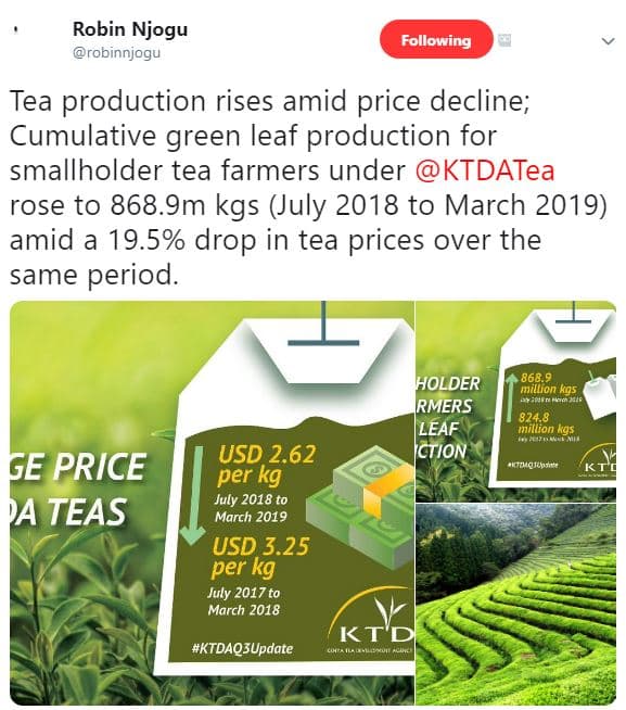 Robin njogu robinnjogu following tea production rises amid price decline cumulat