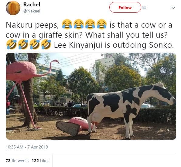 Rachel nakeel follow nakuru peeps, is that a cow or a cow in a giraffe skin? wha
