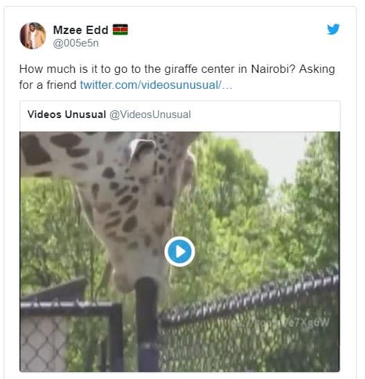 Mzee edd 005e5n how much is it to g0 to the giraffe center in nairobi? asking fo