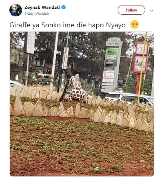 Zeynab wandati zeynwandati follow giraffe ya sonko ime die hapo nyayo