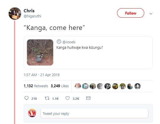 Chris ngaruthi follow 'kanga come here jooels kanga huitwaje kwa kizungu? 1.57 a