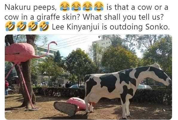 Nakuru peeps, is that a cow or a cow in a giraffe skin? what shall you tell us?