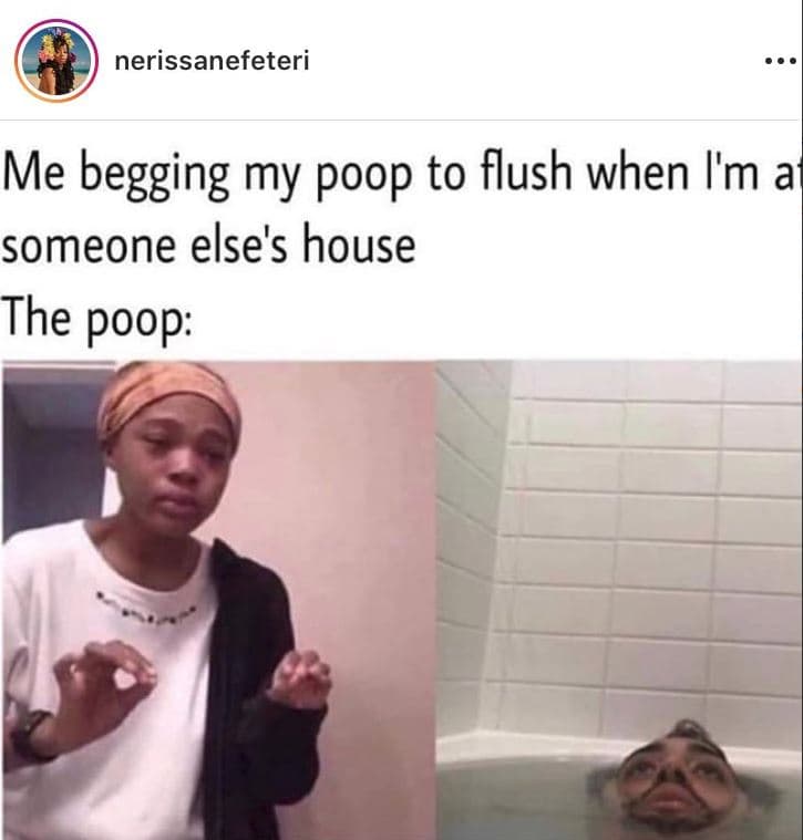 Nerissanefeteri me begging my poop to flush when i'm a someone else's house the