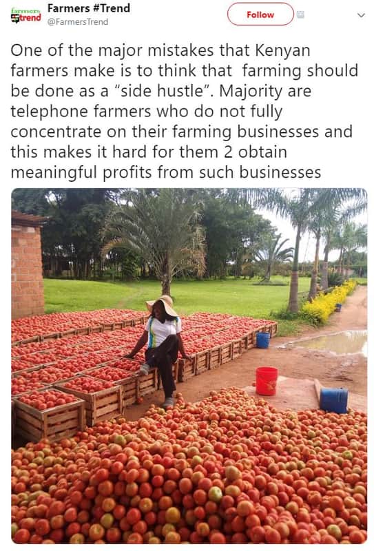 Farmers trend trend farmers trend follow one of the major mistakes that kenyan f