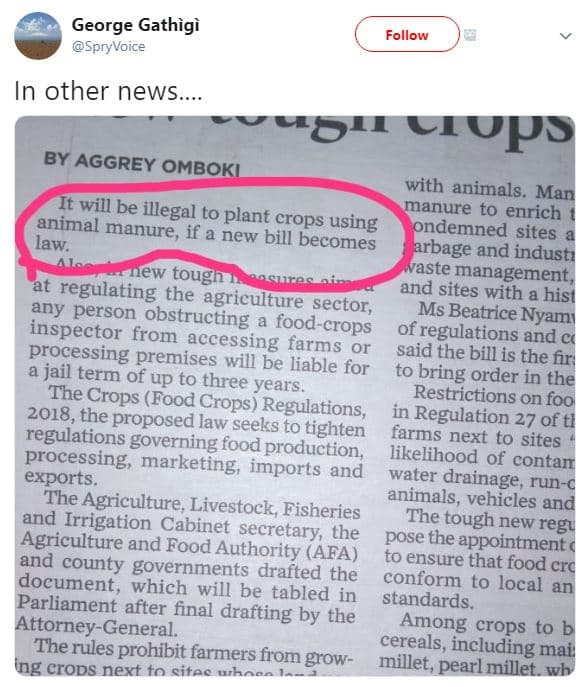 George gathign spryvoice follow in other news cupy by aggrey omboki with animals