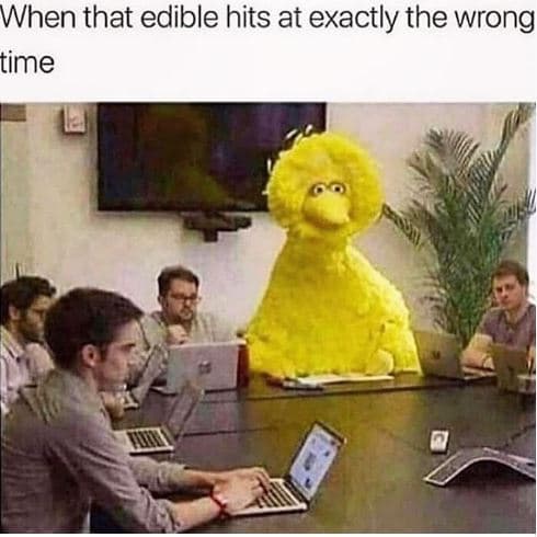 When that edible hits at exactly the wrong time