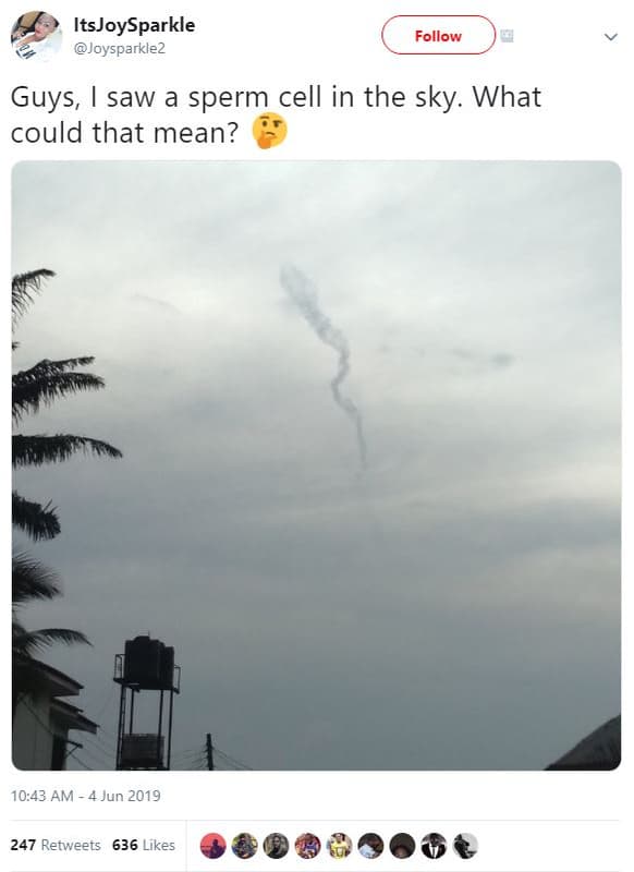 Itsjoysparkle joysparklez follow guys, saw sperm cell in the sky. what could tha