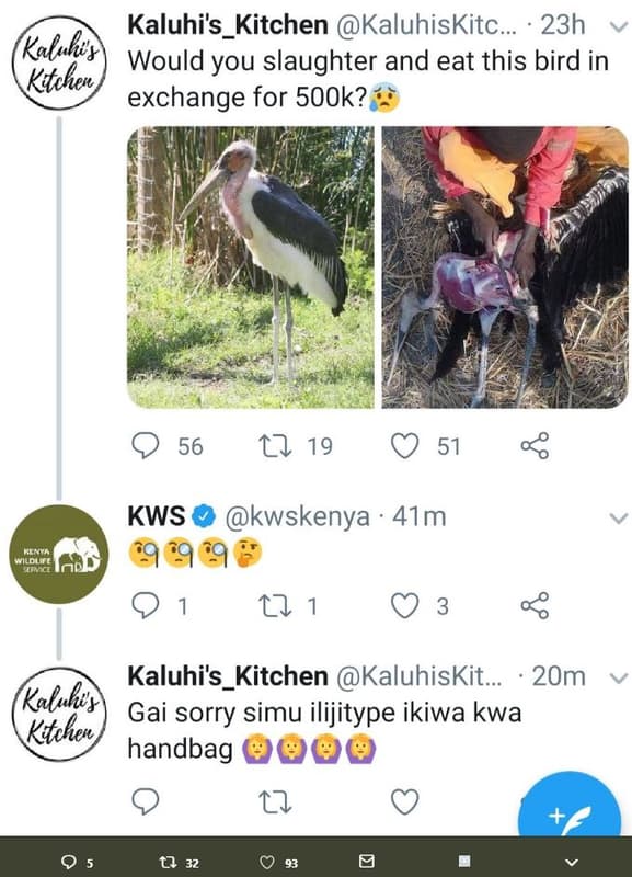 Kaluhi's_kitchen kaluhiskitc. 23h kalubvy would you slaughter and eat this bird