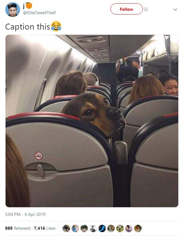 Follow elitetweetthief caption this 5,04 pm 6 apr 889 retweets 7,416 likes