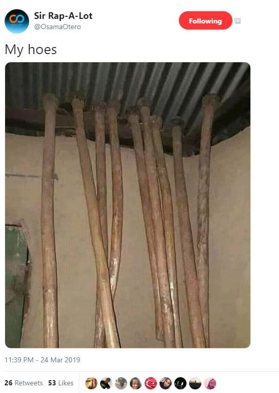 Sir rapalot osamaotero following my hoes 11.39 pm 24 mar 26 retweets 53 likes