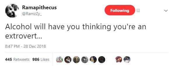 Ramapithecus ramzzy _ following alcohol will have you thinking you're an extrove