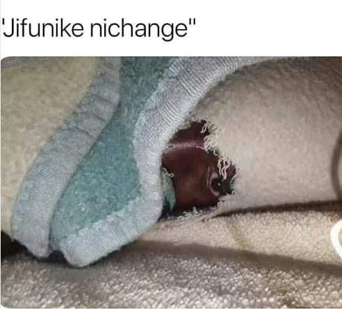'jifunike nichange'