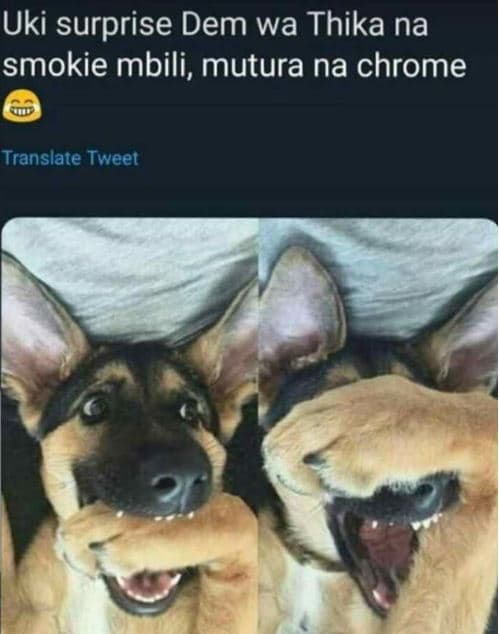 Uki surprise dem wa thika na smokie mbili, mutura na chrome translate tweet