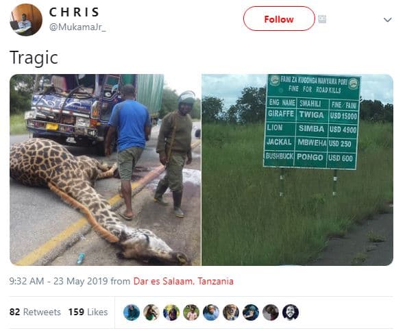 Chris mukamalr _ follow tragic raztnin fwe for roadklls eng wvelswahili wean gir