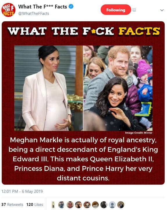 What the f facts cts whattheffacts following what the fck facts image credit mir