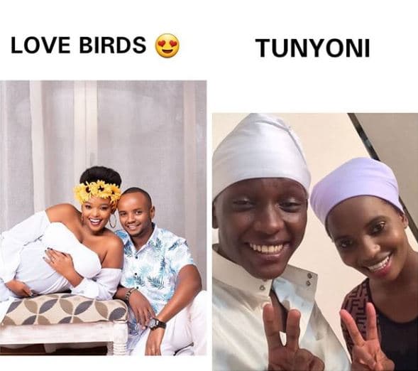 Love birds tunyoni