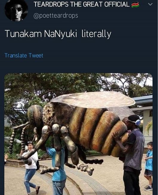 Teardrops the great official poetteardrops tunakam nanyuki literally translate t