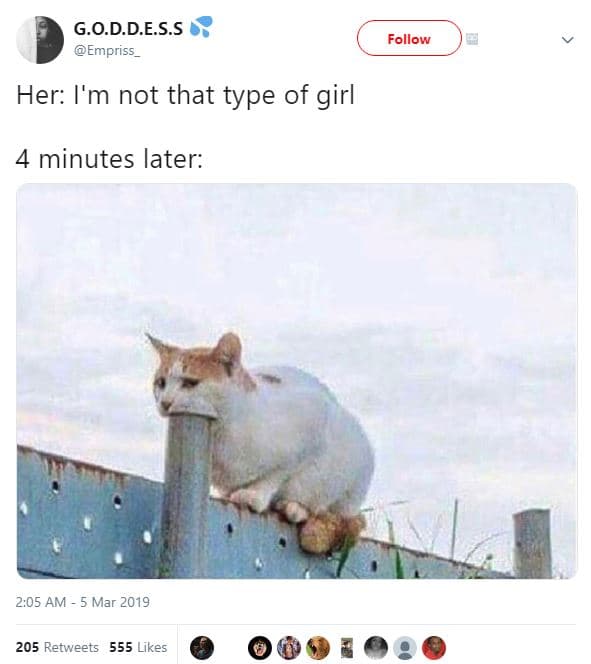 G.o.d.des.s empriss follow her i'm not that type of girl 4 minutes later 2.05 am