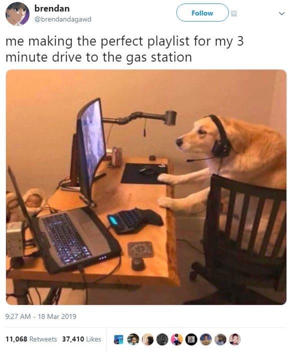 Brendan brendandagawd follow me making the perfect playlist for my 3 minute driv