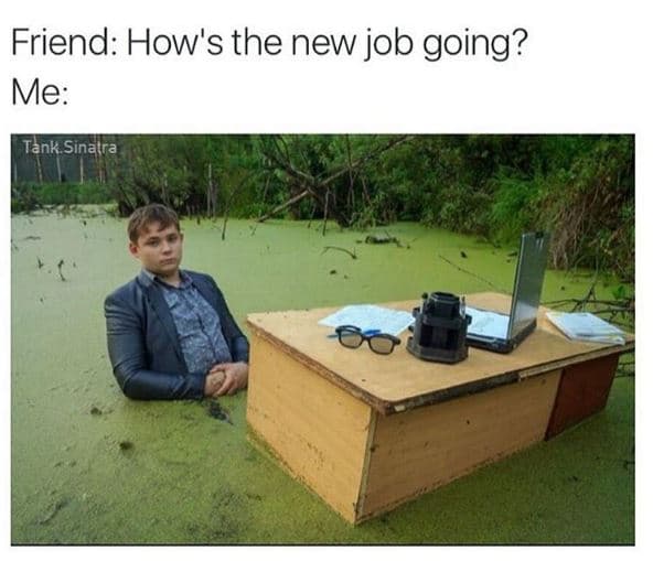 Friend how's the new job going? me tank sinatra