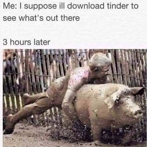 Me suppose ill download tinder to see what's out there 3 hours later