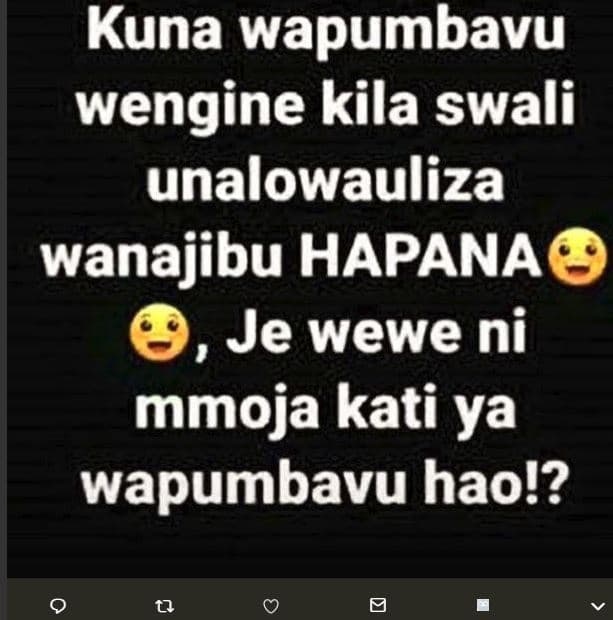 Kuna wapumbavu wengine kila swali unalowauliza wanajibu hapana je wewe ni mmoja