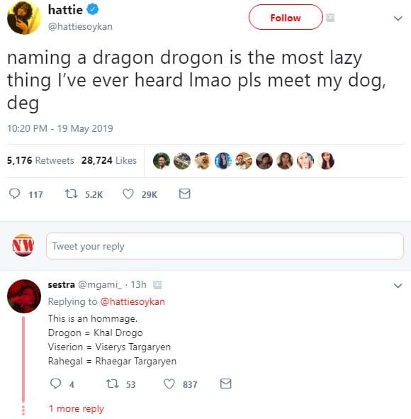 Hattie hattiesoykan follow naming dragon drogon is the most lazy thing ive ever